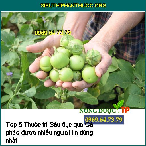 Top 5 Thuốc trị Sâu đục quả Cà pháo được nhiều người tin dùng nhất