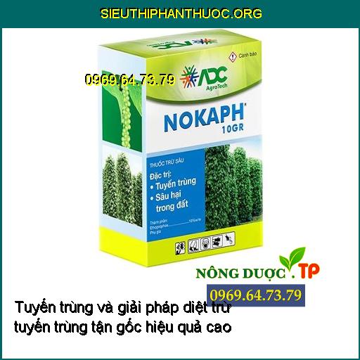 Tuyến trùng và giải pháp diệt trừ tuyến trùng tận gốc hiệu quả cao