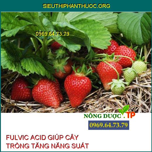 FULVIC ACID