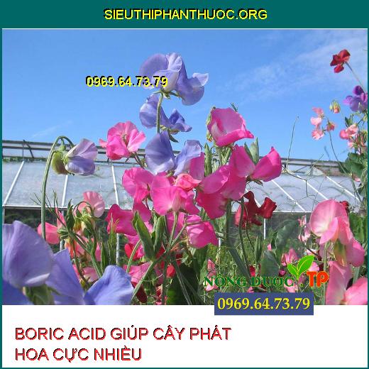 BORIC ACID