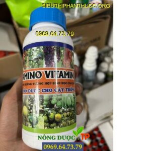 amino-vitamin
