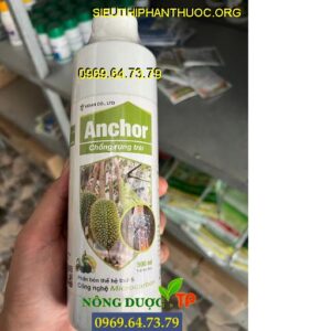 anchor-chong-rung-trai