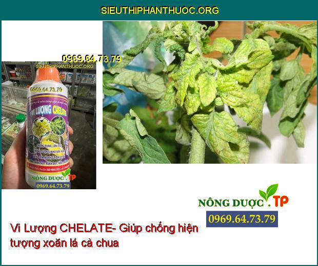 Vi Lượng CHELATE- Chống Rụng- Lớn Trái- Chống Sượng- Khô Đầu Múi- Vàng Cơm.