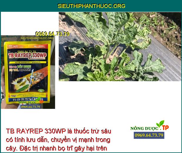 TB RAYREP 330WP là thuốc trừ sâu có tính lưu dẫn, chuyển vị mạnh trong cây. Đặc trị nhanh bọ trĩ gây hại trên dưa hấu.
