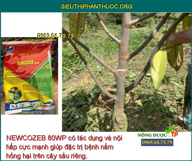 NEWCOZEB 80WP có tác dụng và nội hấp cực mạnh giúp đặc trị bệnh nấm hồng hại trên cây sầu riêng.