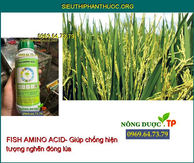 FISH AMINO ACID- Hạt Nảy Mầm- Đẻ Nhánh Nhiều- Ra Hoa- Đậu Trái- Chống Rụng Trái