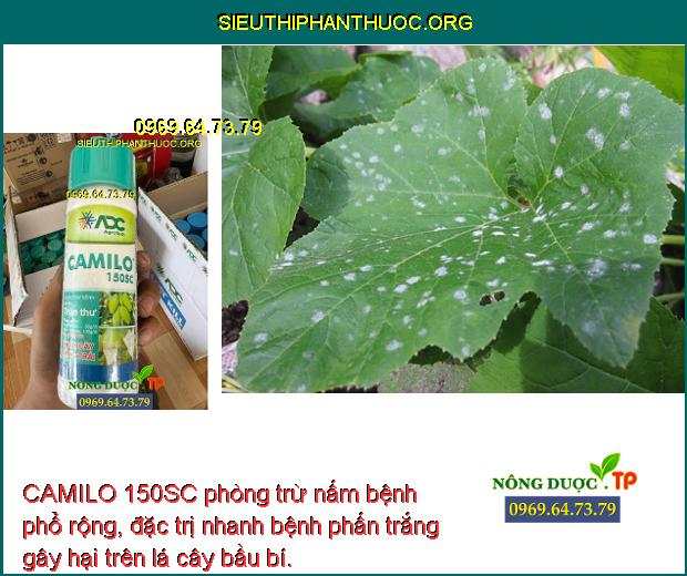 CAMILO 150SC phòng trừ nấm bệnh phổ rộng, đặc trị nhanh bệnh phấn trắng gây hại trên lá cây bầu bí.