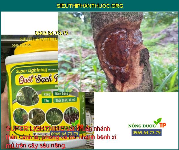 SUPER LIGHTNING sát khuẩn nhánh thân cành lá, phòng và trừ nhanh bệnh xì mủ trên cây sầu riêng.