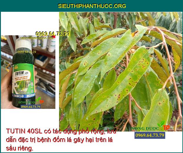 TUTIN 40SL có tác dụng phổ rộng, lưu dẫn đặc trị bệnh đốm lá gây hại trên lá sầu riêng.vvvv
