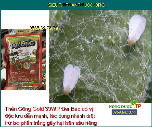 Thần Công Gold 39WP Đại Bác