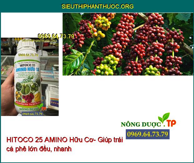 HITOCO 25 AMINO Hữu Cơ- Lớn Trái- Màu Trái Đẹp- Tăng Hương Vị- Ngăn Rụng Trái.