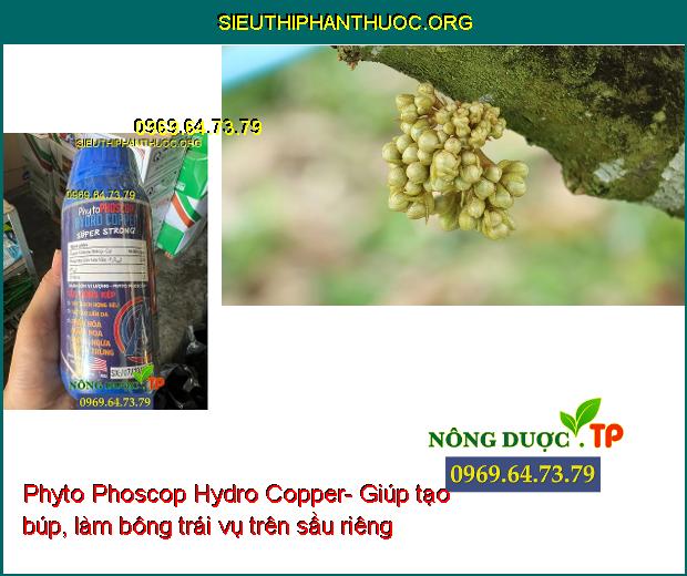 Phyto Phoscop Hydro Copper- Tẩy Rong- Phân Hóa Mầm Hoa- Ngừa Tuyến Trùng.