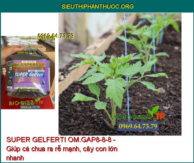 SUPER GELFERTI OM.GAP8-8-8 - Phát Nhánh- Bung Đọt- Ra Rễ Mạnh- Chống Rụng Bông.