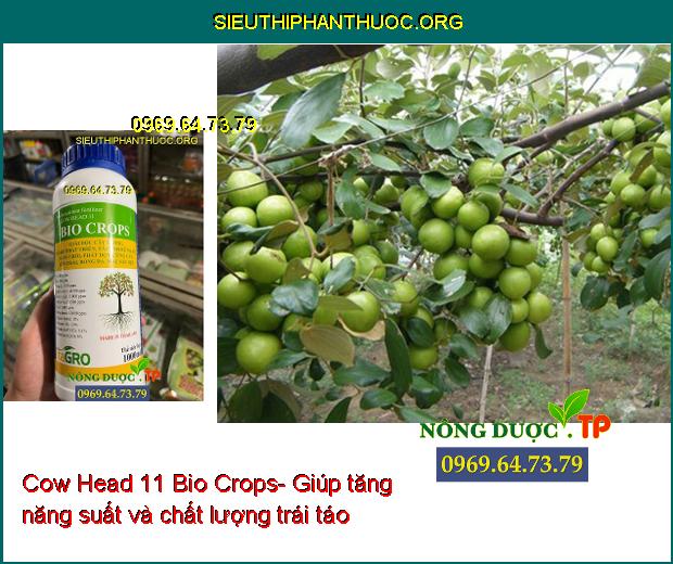 Cow Head 11 Bio Crops- Dưỡng Trái- Chống Rụng Trái- Đâm Chồi- Xanh Lá- Dưỡng Bông