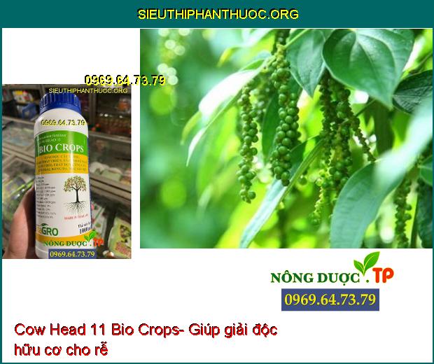 Cow Head 11 Bio Crops- Dưỡng Trái- Chống Rụng Trái- Đâm Chồi- Xanh Lá- Dưỡng Bông