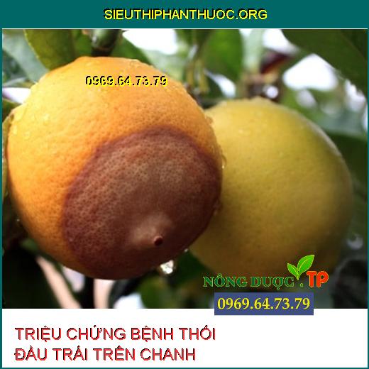 THỐI ĐẦU TRÁI