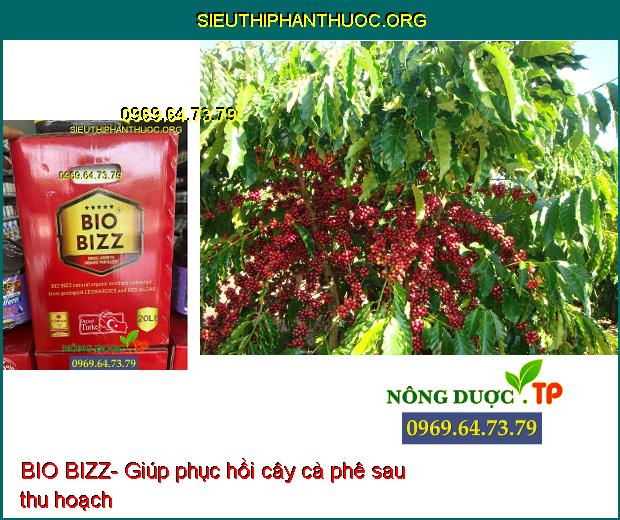 BIO BIZZ- Kích Rễ- Bung Đọt- To Trái- Nặng Ký- Giải Độc Phèn- Nâng pH Đất.