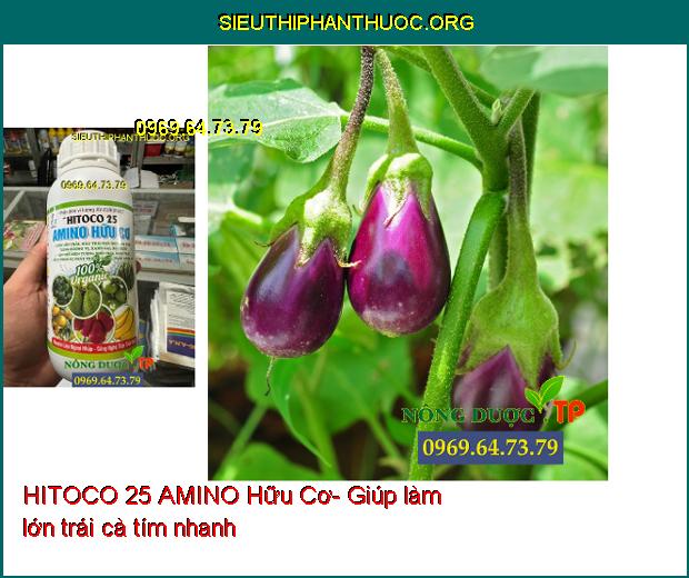 HITOCO 25 AMINO Hữu Cơ- Lớn Trái- Màu Trái Đẹp- Tăng Hương Vị- Ngăn Rụng Trái.