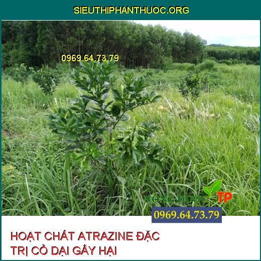 HOẠT CHẤT ATRAZINE