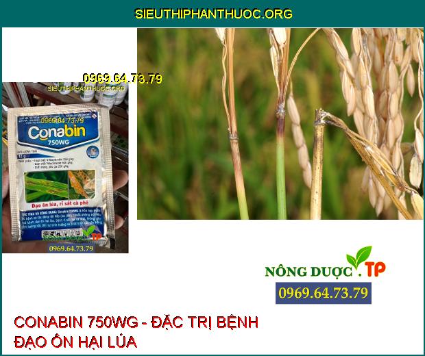 CONABIN 750WG- Đặc Trị Đạo Ôn- Rỉ Sắt- Trừ Bệnh Hiệu Quả.