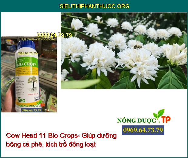 Cow Head 11 Bio Crops- Dưỡng Trái- Chống Rụng Trái- Đâm Chồi- Xanh Lá- Dưỡng Bông