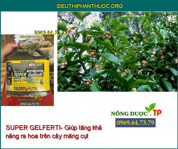 SUPER GELFERTI- Tăng Nảy Mầm- Ra Rễ Mạnh- Vọt Đọt- Ra Hoa- Tăng Đậu Trái.