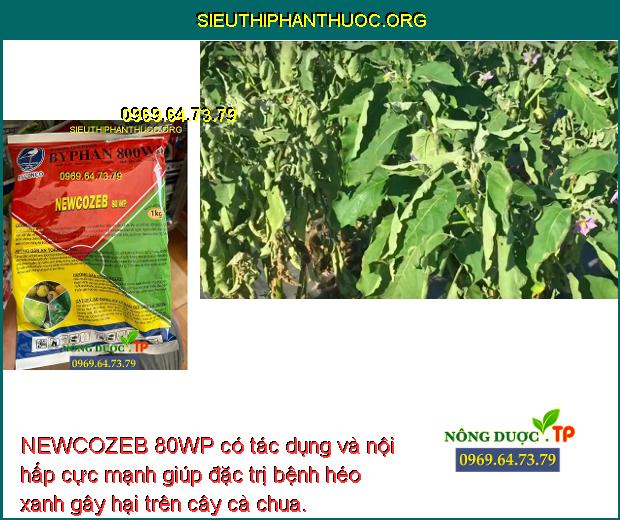 NEWCOZEB 80WP có tác dụng và nội hấp cực mạnh giúp đặc trị bệnh héo xanh gây hại trên cây cà chua.