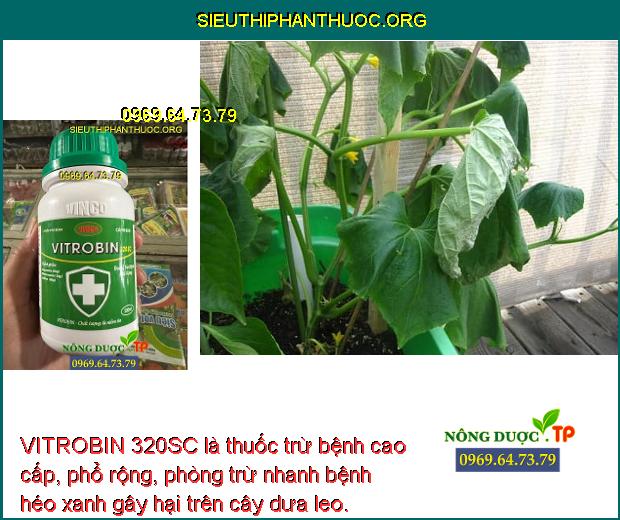 VITROBIN 320SC là thuốc trừ bệnh cao cấp, phổ rộng, phòng trừ nhanh bệnh héo xanh gây hại trên cây dưa leo.