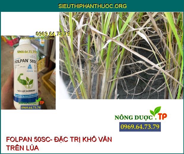 FOLPAN 50SC- Đặc Trị Khô Vằn- Đạo Ôn- Đốm Lá- Mốc Sương.