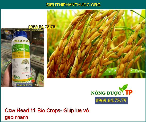 Cow Head 11 Bio Crops- Dưỡng Trái- Chống Rụng Trái- Đâm Chồi- Xanh Lá- Dưỡng Bông