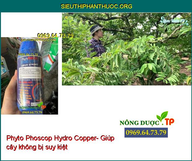 Phyto Phoscop Hydro Copper- Tẩy Rong- Phân Hóa Mầm Hoa- Ngừa Tuyến Trùng.