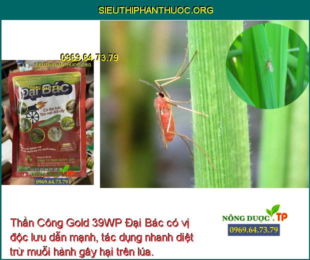 Thần Công Gold 39WP Đại Bác