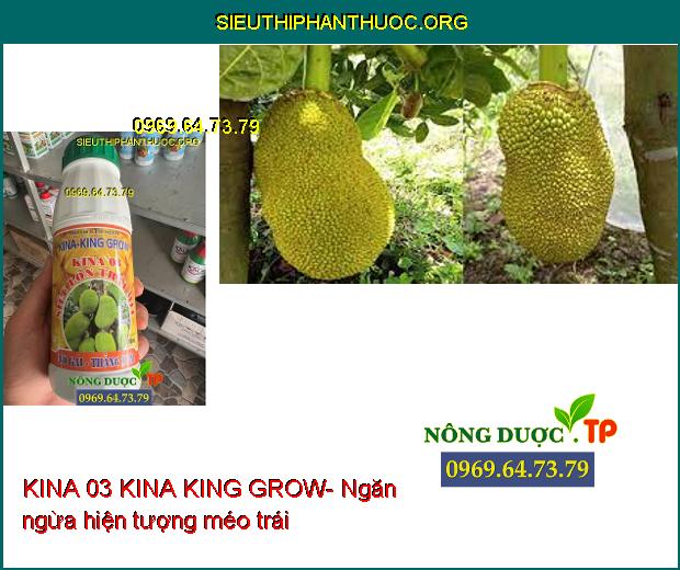 KINA 03 KINA KING GROW- Lớn Trái- Chắc Hạt- Dày Cơm- Màu Vàng Đẹp.