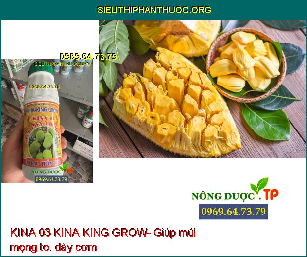 KINA 03 KINA KING GROW- Lớn Trái- Chắc Hạt- Dày Cơm- Màu Vàng Đẹp.