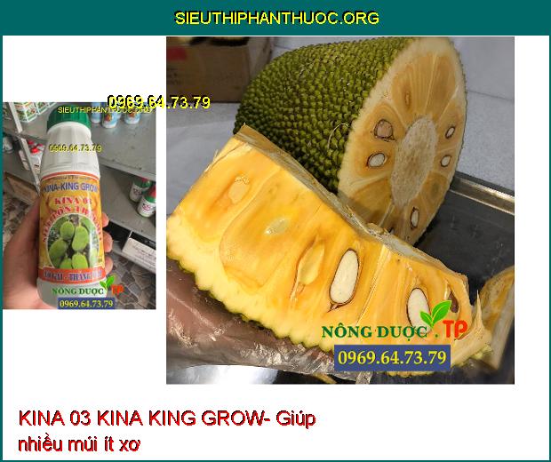 KINA 03 KINA KING GROW- Lớn Trái- Chắc Hạt- Dày Cơm- Màu Vàng Đẹp.