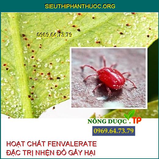 HOẠT CHẤT FENVALERATE