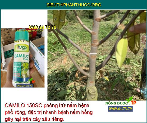 CAMILO 150SC phòng trừ nấm bệnh phổ rộng, đặc trị nhanh bệnh nấm hồng gây hại trên cây sầu riêng.