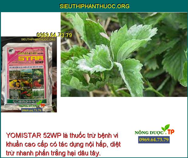 YOMISTAR 52WP là thuốc trừ bệnh vi khuẩn cao cấp có tác dụng nội hấp, diệt trừ nhanh phấn trắng hại dâu tây.