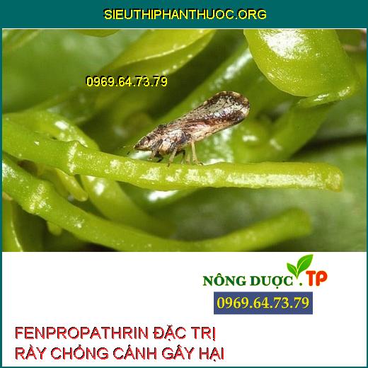 HOẠT CHẤT FENPROPATHRIN