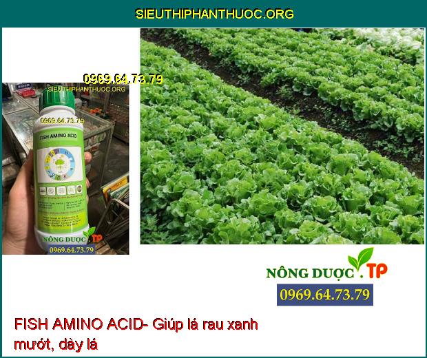 FISH AMINO ACID- Hạt Nảy Mầm- Đẻ Nhánh Nhiều- Ra Hoa- Đậu Trái- Chống Rụng Trái