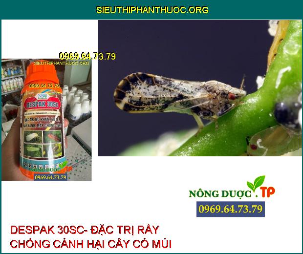 DESPAK 30SC- Đặc Trị Bọ Phấn- Bọ Trĩ- Rầy Xanh- Rầy Chổng Cánh.