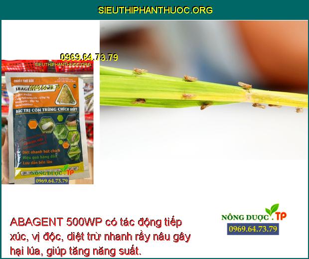 ABAGENT 500WP có tác động tiếp xúc, vị độc, diệt trừ nhanh rầy nâu gây hại lúa, giúp tăng năng suất.