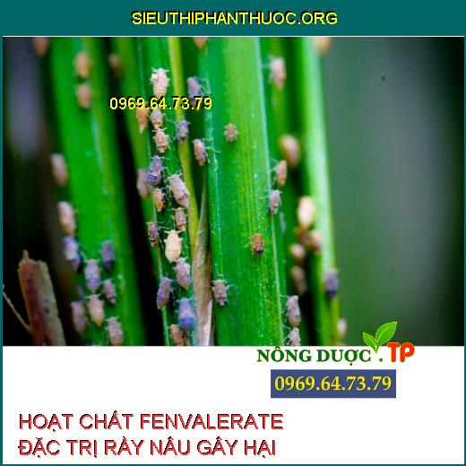 HOẠT CHẤT FENVALERATE