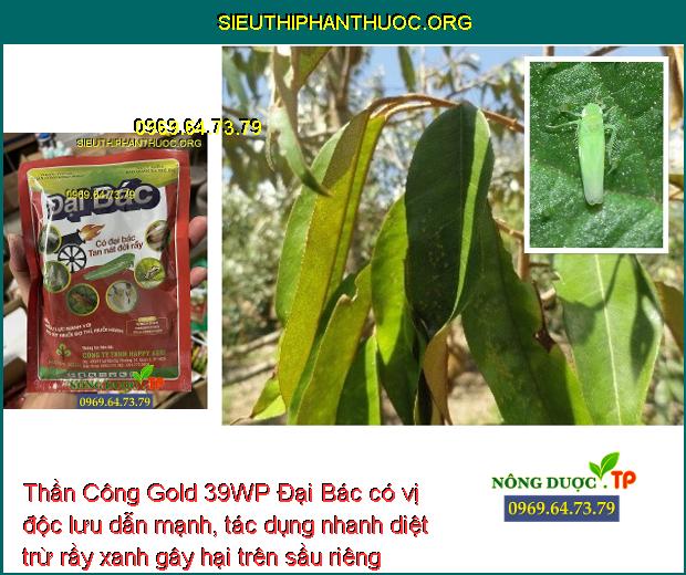 Thần Công Gold 39WP Đại Bác