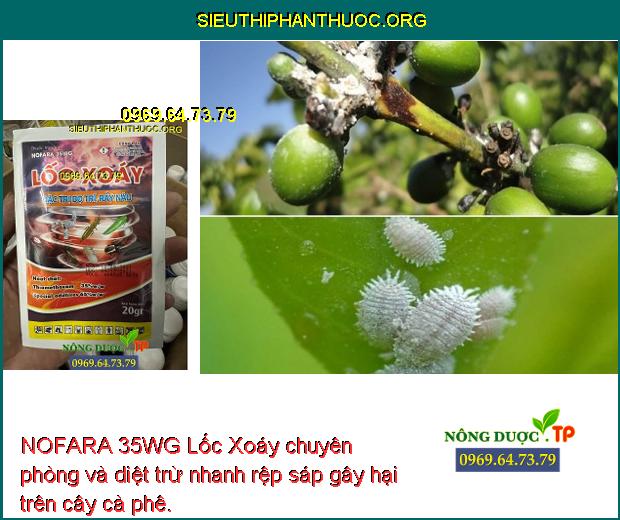 NOFARA 35WG Lốc Xoáy chuyên phòng và diệt trừ nhanh rệp sáp gây hại trên cây cà phê.