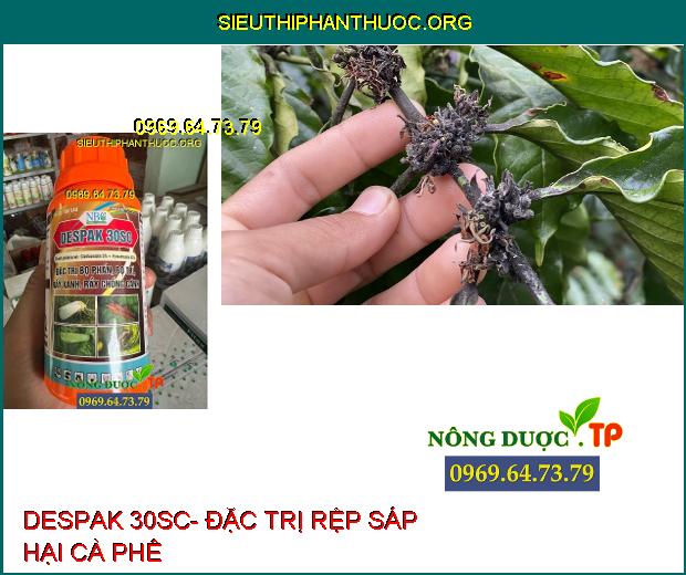 DESPAK 30SC- Đặc Trị Bọ Phấn- Bọ Trĩ- Rầy Xanh- Rầy Chổng Cánh.