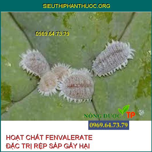 HOẠT CHẤT FENVALERATE