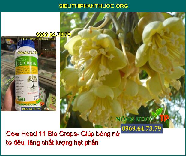 Cow Head 11 Bio Crops- Dưỡng Trái- Chống Rụng Trái- Đâm Chồi- Xanh Lá- Dưỡng Bông