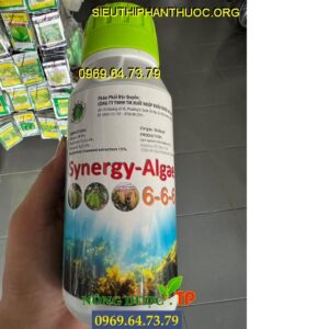 synergy-algae-666