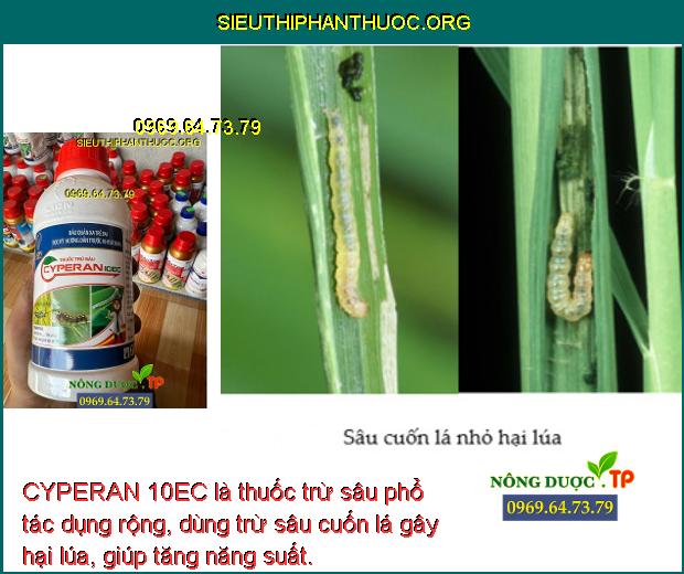 CYPERAN 10EC là thuốc trừ sâu phổ tác dụng rộng, dùng trừ sâu cuốn lá gây hại lúa, giúp tăng năng suất.